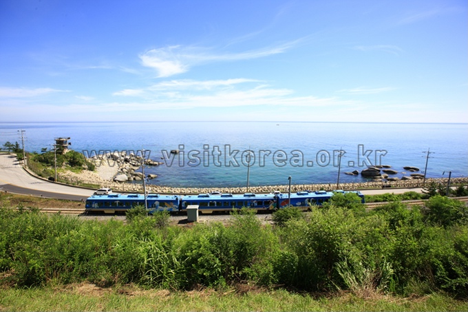Coast Scenic Railway 