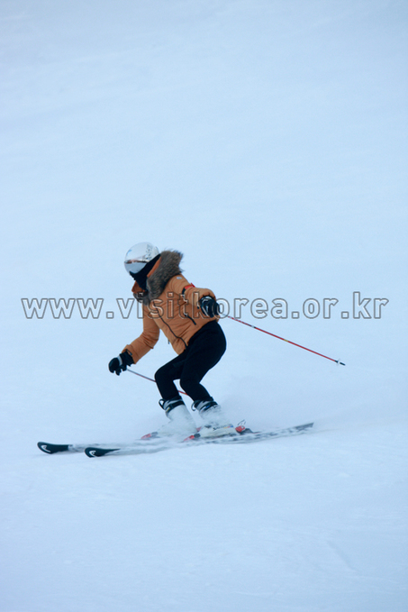 Yongpyeong Resort, Ski 