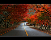 2010 The 10th Jeonbuk Tourism Photo Contest