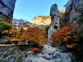 Fall Foliage of Juwangsan Mountain