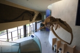 Mokpo Natural History Museum