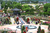 Gokseong World Rose Festival 