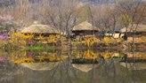 Korean Folk Vi..