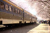 Gyeonghwa Station