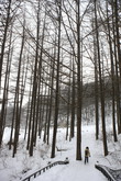 Mt.Taebaek Sno..