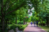 Gangwon Provincial Arboretum