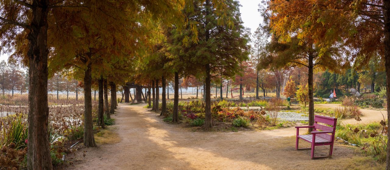 청산수목원