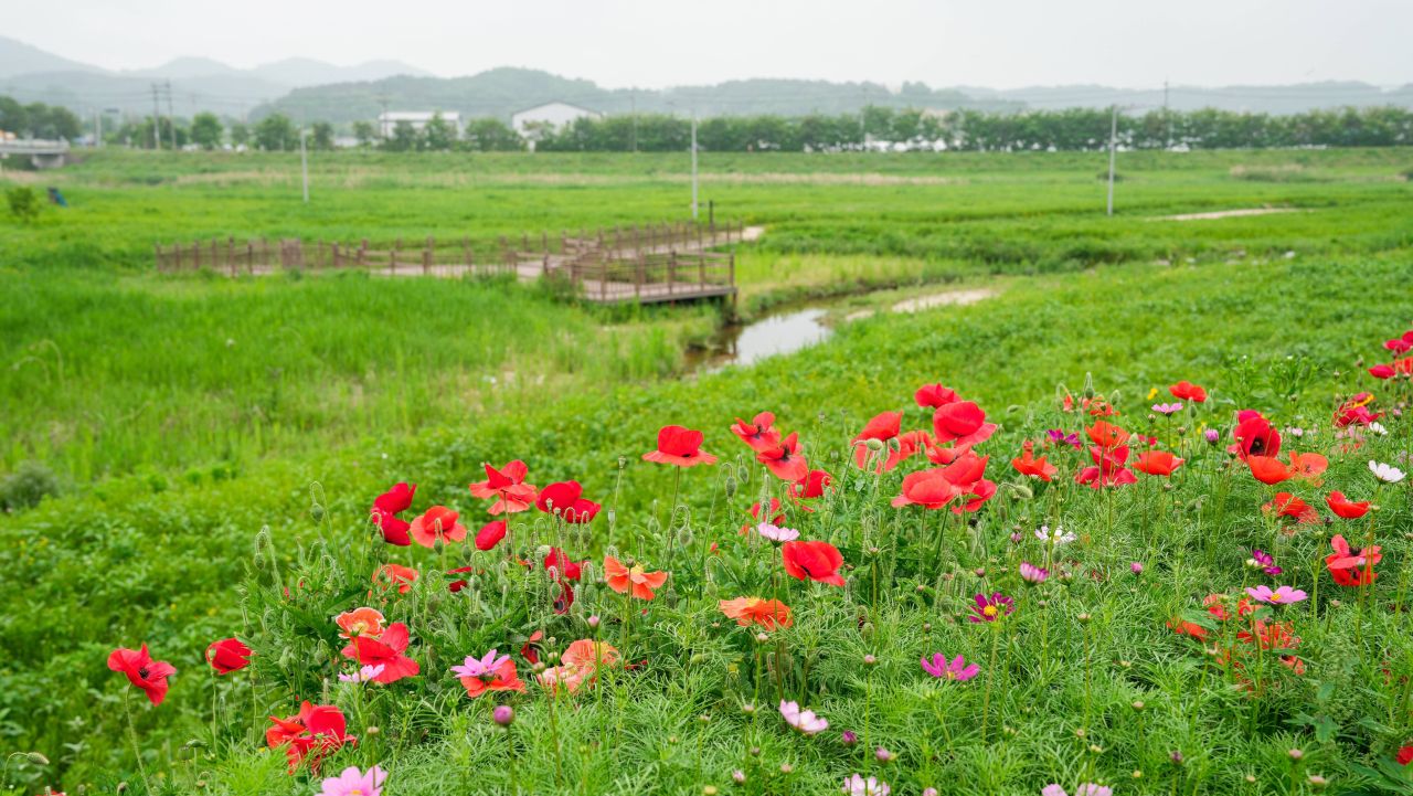 유기농산업복합서비스지원단지