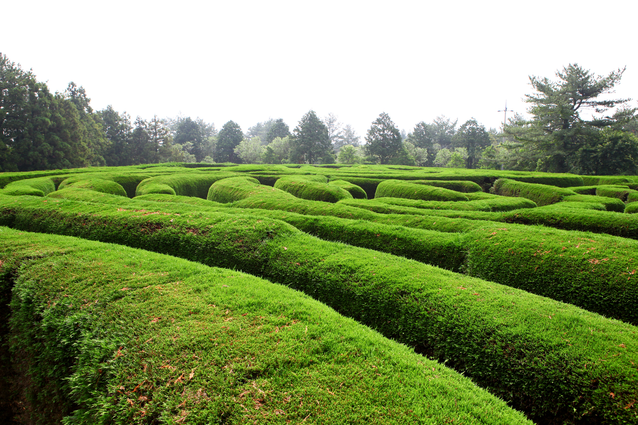 제주김녕미로공원 - 김녕여행 여행