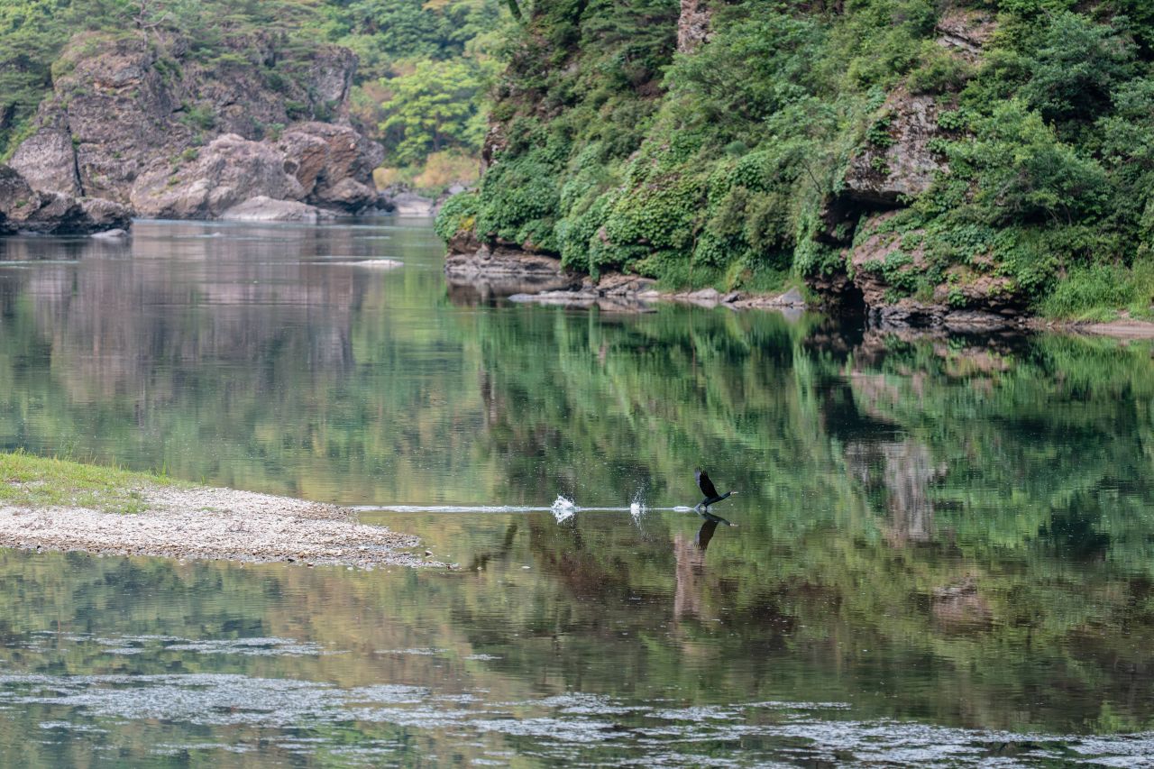 영월 어라연 일원