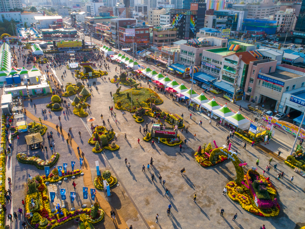 2019 마산 국화축제