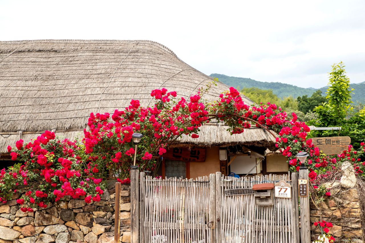 2TV 생생정보 힘쓰니까 청춘이다 르노코리아 서비스코너 산본점 서비스 맛집 2월 19일 방송