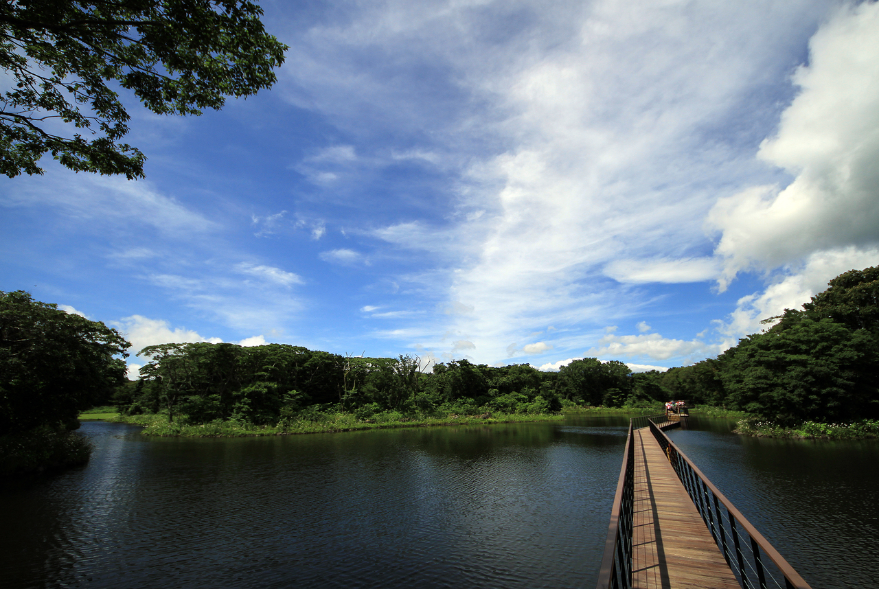 아르떼뮤지엄 제주 - 제주여행 여행