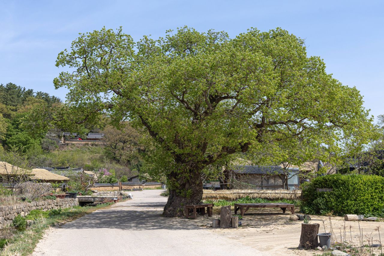 복동이네농원 제품 이미지