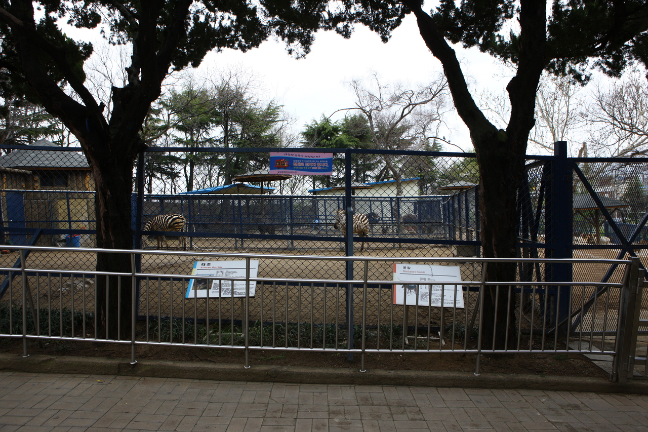 달성공원 주말 나들이의 중심, 대구달성 - 대구여행 여행