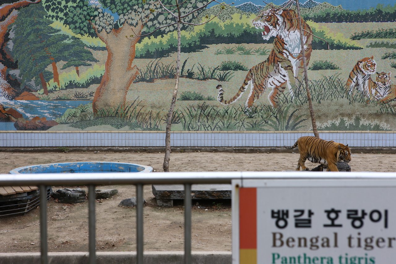 달성공원 동물원 - 대구여행 여행