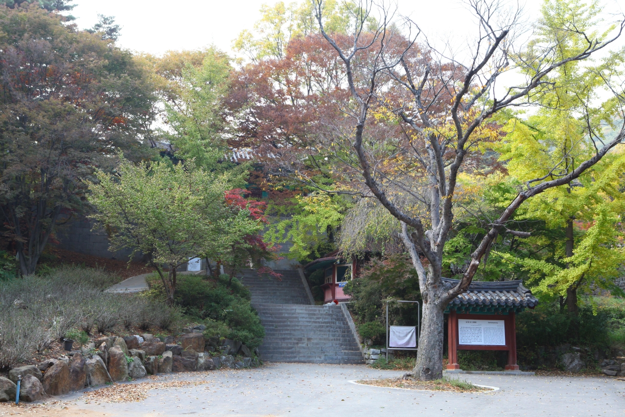 동막해변 - 강화도여행 여행