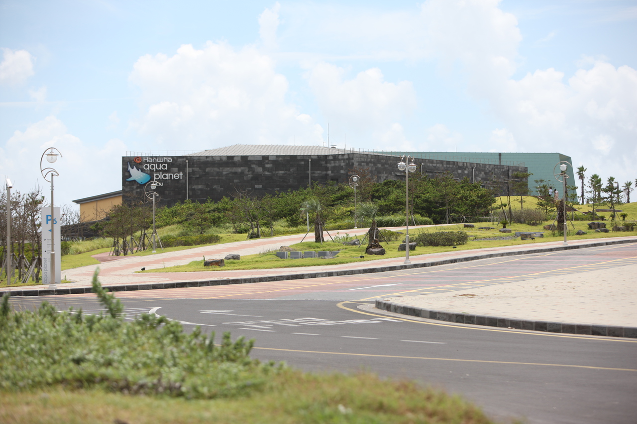 아쿠아플라넷 제주 - 제주여행 여행