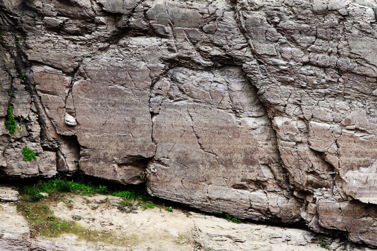 반구대암각화 - 반구대암각화 여행
