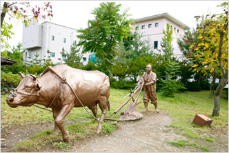 Arari Village of Jeongseon 