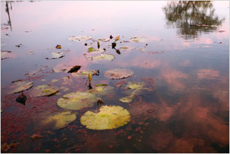 Gungnamji Pond: The Tale of Seodong and Princess Seonhwa