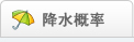 降水概率