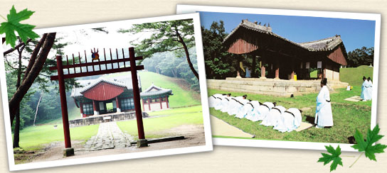 Composition of the Royal Tombs