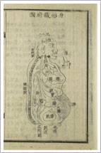 Sinhyeongjangbudo, the illustration of the human body and organs