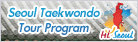 Seoul Taekwondo Tour Program