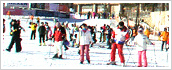 Ski & Snow