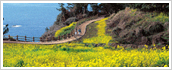 Themed Tours
