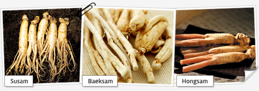 ginseng02