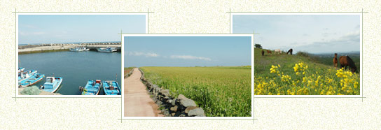 Siheung Elementary School to Gwangchigi Beach (Total 15km, 5-6 hour trip)
