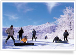 Ski Travel