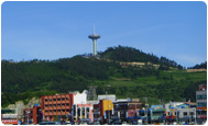 Wando Tower