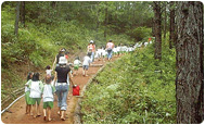 World Slow Walking Festival