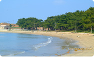 Jiri Beach Resort (지리 해수욕장)