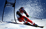 Leisure Sports