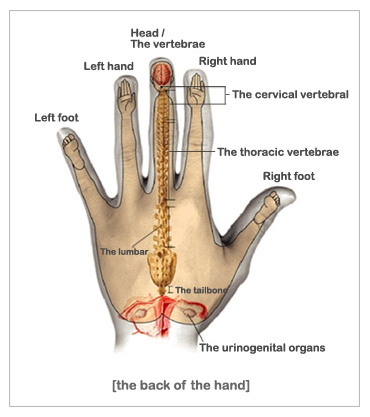 Hand Acupuncture