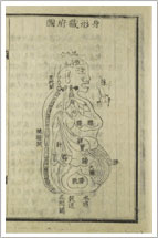 Sinhyeongjangbudo, the illustration of the human body and organs 