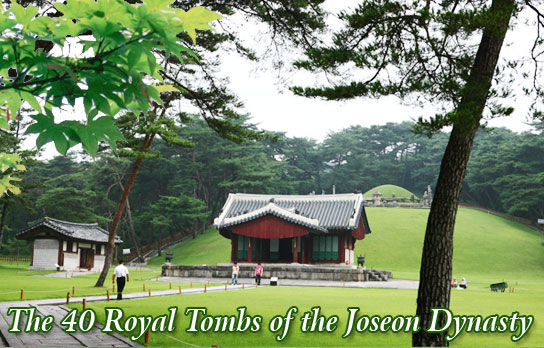 The 40 Royal Tombs of the Joseon Dynasty 