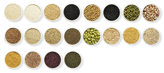 vegetables ingredients poto