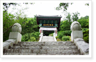 Yeosu City Tours