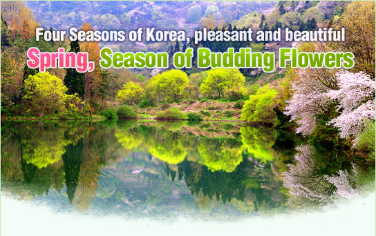 Spring, Season of Budding Flowers