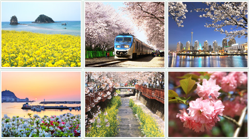Spring, Season of Budding Flowers