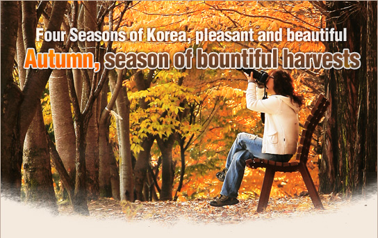 Autumn, season of bountiful harvests