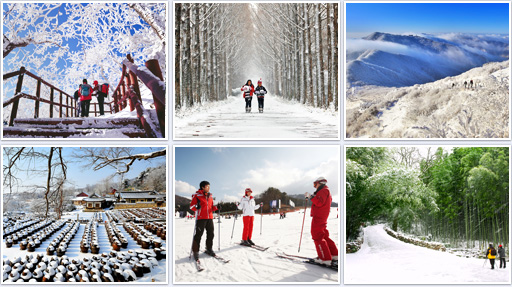 Winter, season of snow