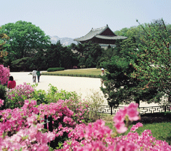 Changdeokgung Palace 