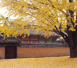 Gyeongbokgung Palace in Seoul