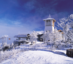 Yongpyong Resort in Gangwon-do